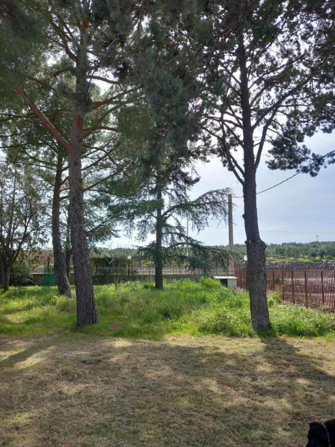 Villa Udi Bitonto Buitenkant foto